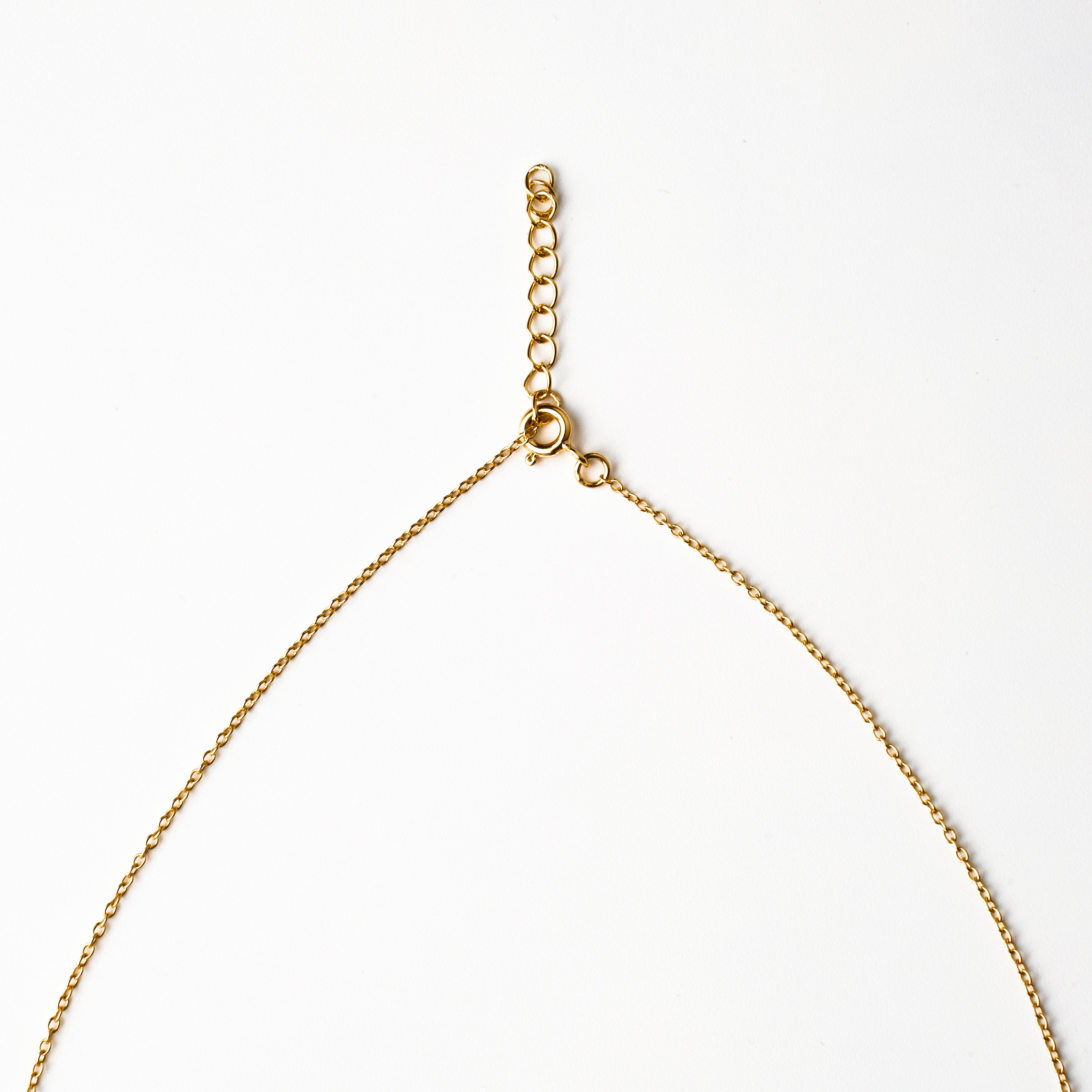 Garnet Drop Necklace